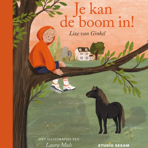 Je kan de boom in! cover